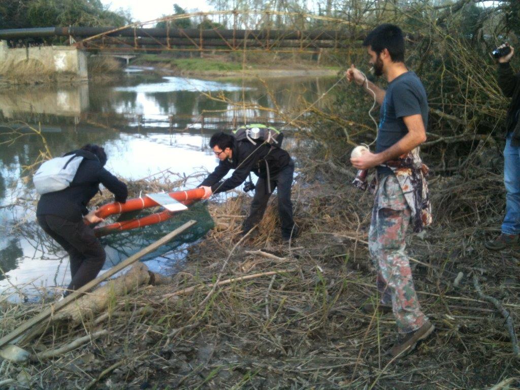 VOLONTANFIBI 2014: Parco Regionale MSRM